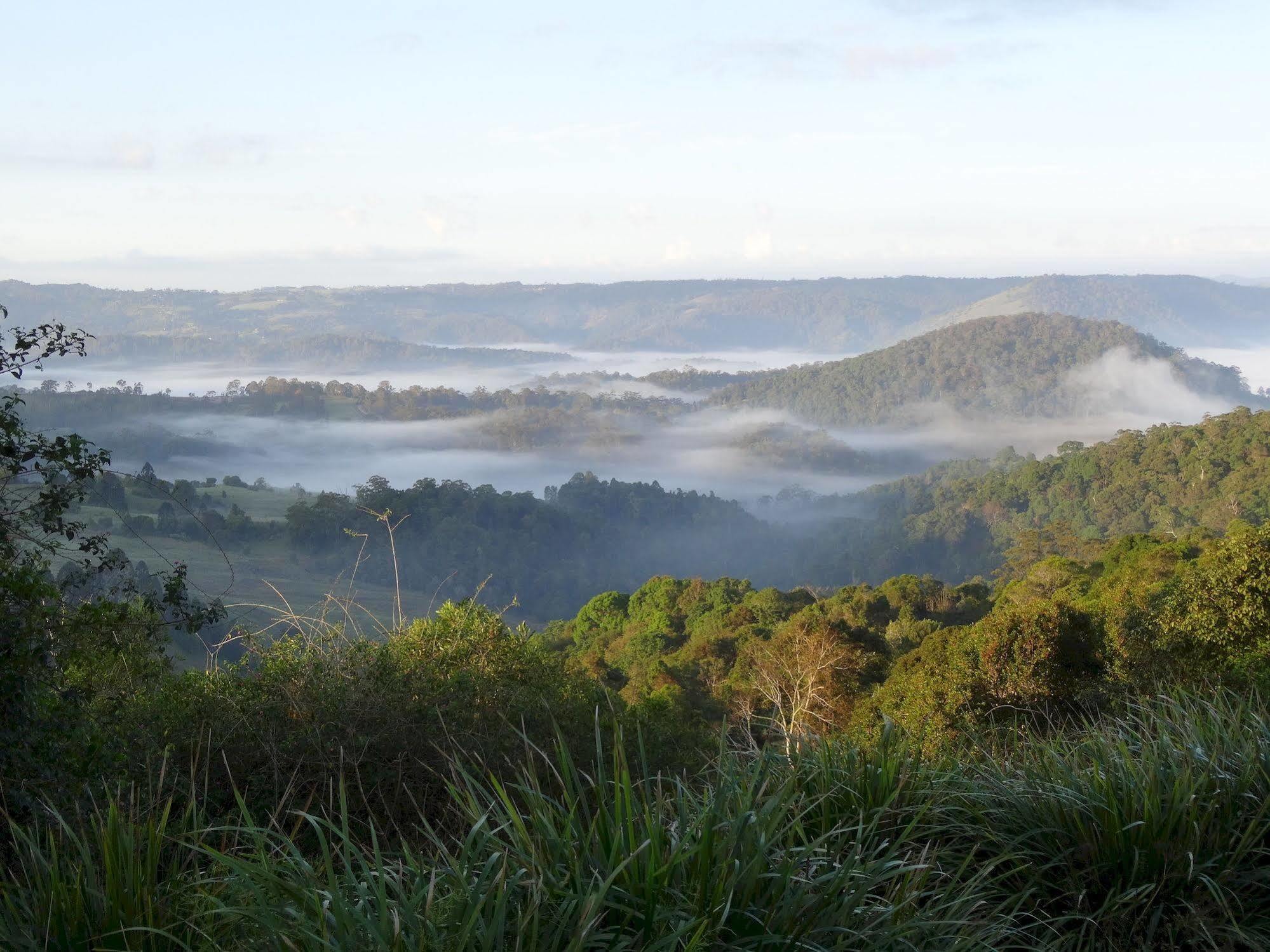 Maleny Luxury Cottages Exterior foto